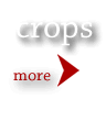 more crops
